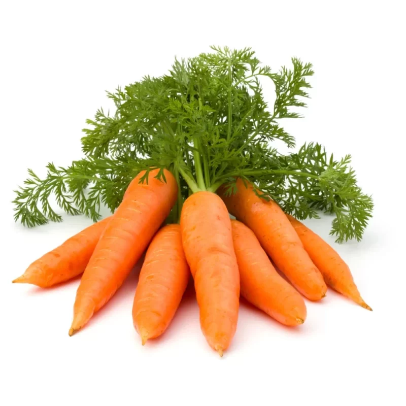 Cà rốt - thực phẩm chăm sóc tóc dày mượt hiệu quả bất ngờ