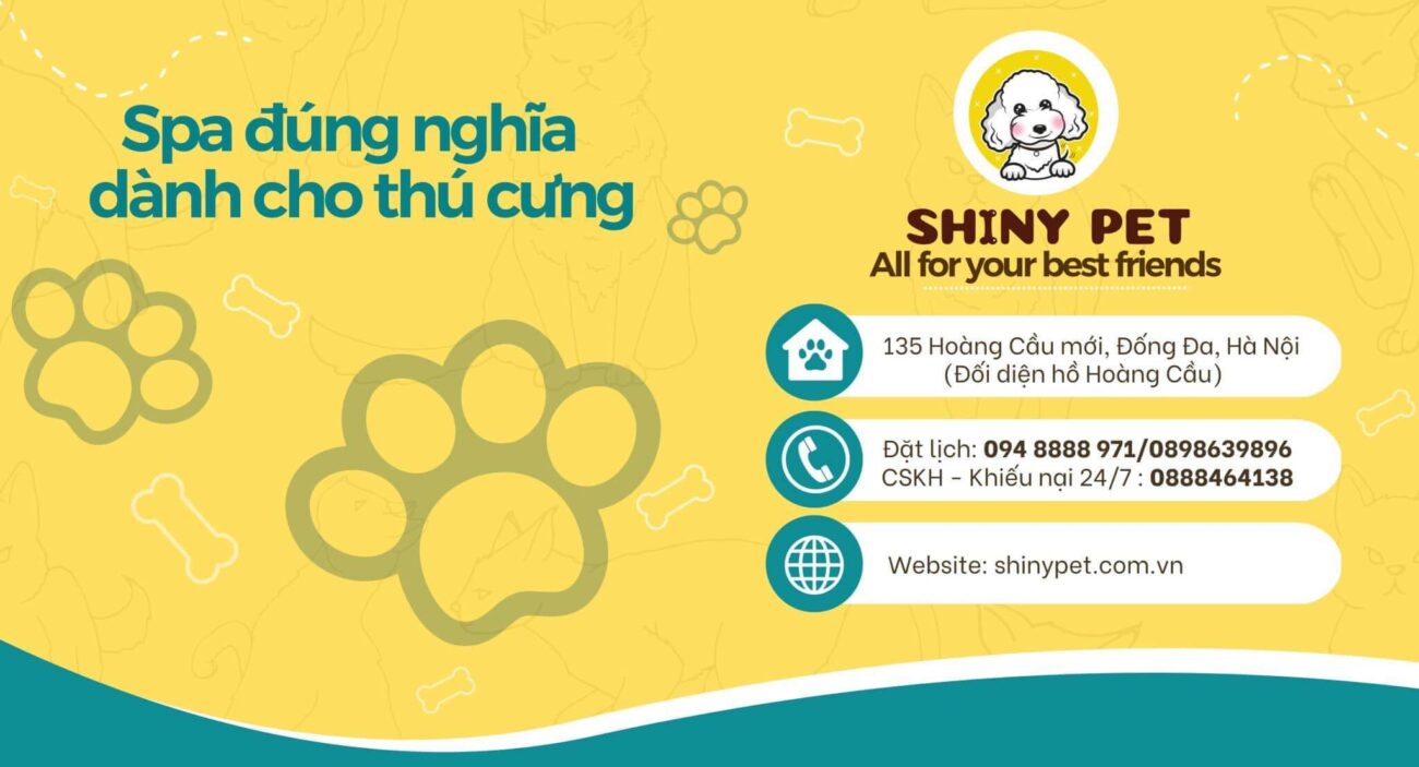 Shinypet – Dịch vụ Spa chó mèo Hà Nội
