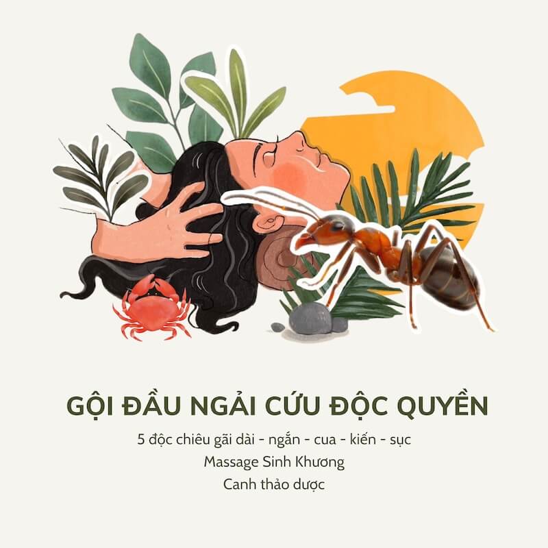 Gội đầu dưỡng sinh